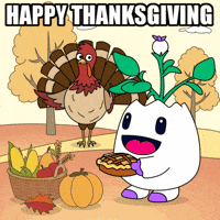Thanksgiving Day Friends GIF by Magic Eden