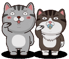 Cat Obey Sticker by VITA VITA ‧ 塔仔不正經