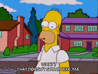 homer simpson GIF