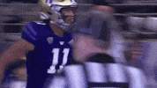 Bow Down College Football GIF by Washington Athletics