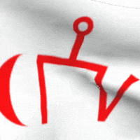 turukkflag turk türk golden horde goldenhorde GIF