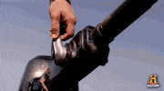 history go GIF