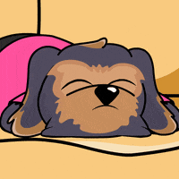 Tired Good Morning GIF by BoDoggos