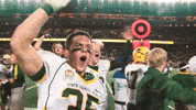 Bison Gophers GIF by NDSU Athletics