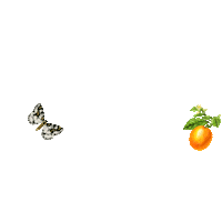 Fashion Sticker by TATY PARRALES