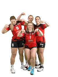 Volleyball Svf Sticker by Rotes Rudel