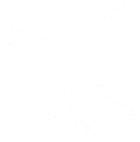 White Falcon Sticker by Gretsch Guitars