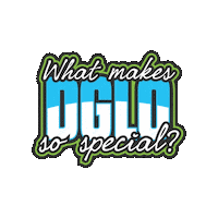 Great Lakes Frisbee Sticker by Discraft