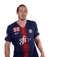 kim ekdahl du rietz hello Sticker by Paris Saint-Germain Handball