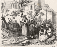 archivesherault france culture archives lapin GIF