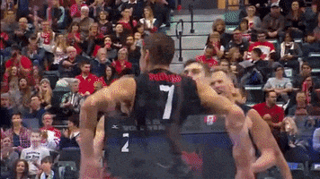 volleyball GIF by CBC