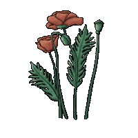 Flower Sticker by AngelinaBorgwardt