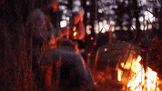 ohio GIF