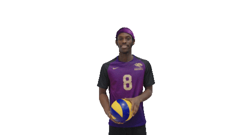 Volleyball Gopanthers Sticker by University of Brighton