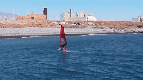 Predator GIF by Severne Windsurfing