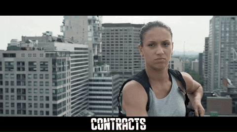 Martial Arts Fight GIF by Indiecan Entertainment Inc.
