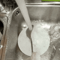 SanPitoPato donald duck pato pato donald san pito pato GIF