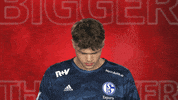 Look Up Schalke 04 GIF by Bundesliga