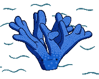 Sad Coral Sticker