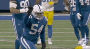 Indianapolis Colts Football GIF by NFL