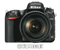 Nikoninstabadge D750 Sticker by NikonIndia