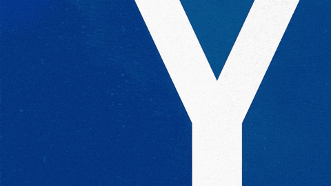 Soccer Bundesliga GIF by Karlsruher SC