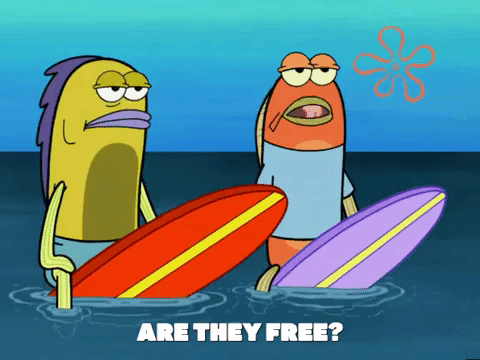 season 6 GIF by SpongeBob SquarePants
