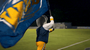 Flag Cheer GIF by Georgia Southwestern State University
