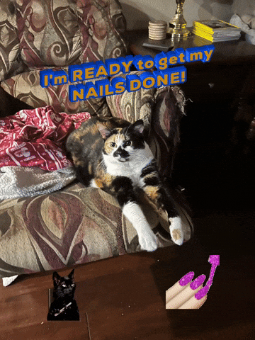 jeremyhyde627ac136f06448b08fd84066bbcb6435 giphyattribution im ready to get my nails done GIF