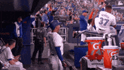Blue Jays Wow GIF by Toronto Blue Jays