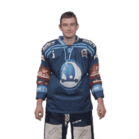 Hockey Swipe Up Sticker by HC Škoda Plzeň
