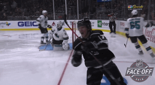 happy ice hockey GIF by NHL