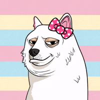 Condescending Hello Kitty GIF by Doge Pound