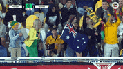 Fan Celebrate GIF by Football Australia