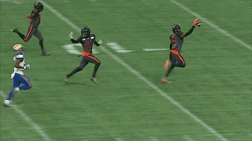 Football Win GIF by BC Lions