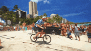summer vibes GIF by Red Bull