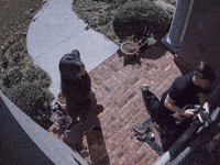 Hmj GIF by Jack Harlow