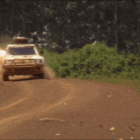 Peugeot GIF by FIA World Rally Championship