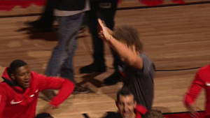 robin lopez nba GIF by Chicago Bulls