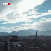 Relax World GIF by TRT