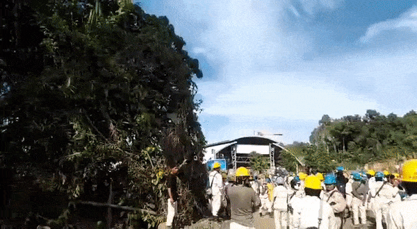 GottfridBghkjt giphyupload halmahera tengah GIF