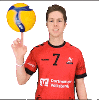 TVHoerde sports sport ball volleyball Sticker