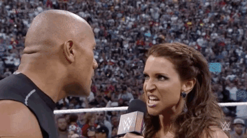 the rock wrestling GIF by WWE