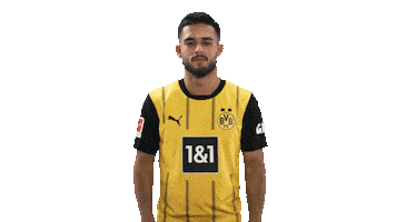 Borussia Dortmund Thinking Sticker by Bundesliga