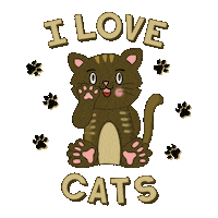 Cat Love Sticker