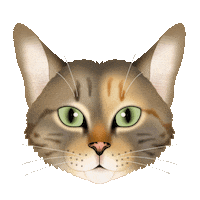 Cats Cute Cat Sticker by zoopeez