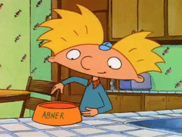 hey arnold nicksplat GIF