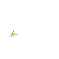 Espirito Santo Dance Sticker by So Danca