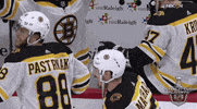 ice hockey hug GIF by NHL