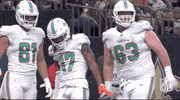 Miami Dolphins Football GIF by NFL